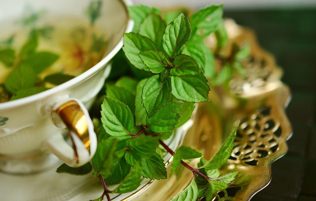 Fresh spearmint beside a teacup
